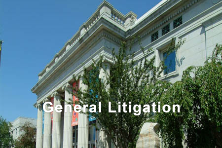 General Litigation