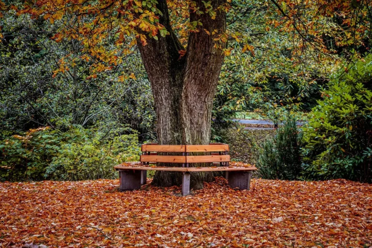 park bench