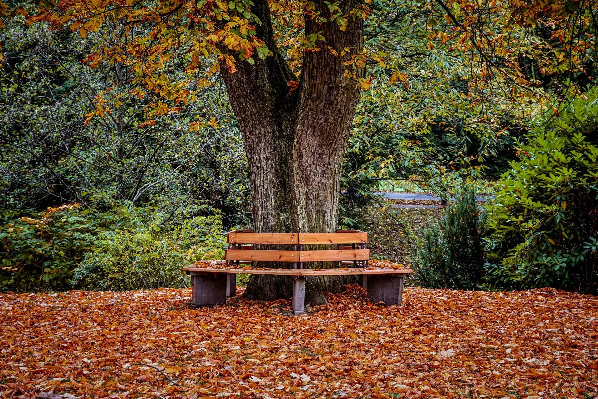 park bench